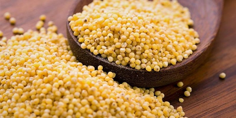 Top 5 Health Benefits of Millet!