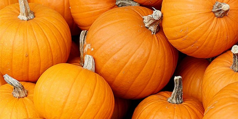 Top 5 Health Benefits of Pumpkin!