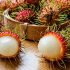 Top 5 Health Benefits of Durian!