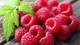 Top 5 Health Benefits of Raspberries!