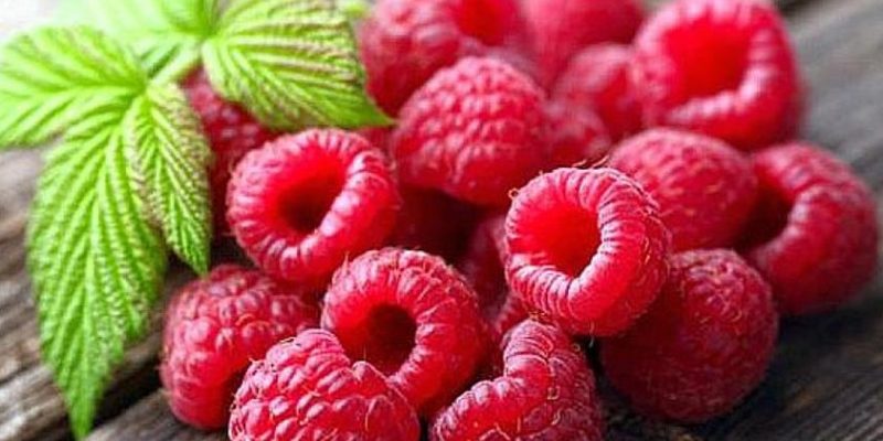 Top 5 Health Benefits of Raspberries!
