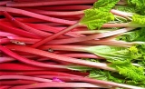 Top 5 Health Benefits of Rhubarb!