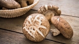 Top 5 Health Benefits of Shiitake Mushrooms!