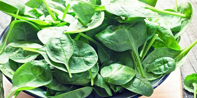 Spinach: Top 5 Health Benefits