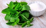 Top 5 Health Benefits of Stevia!