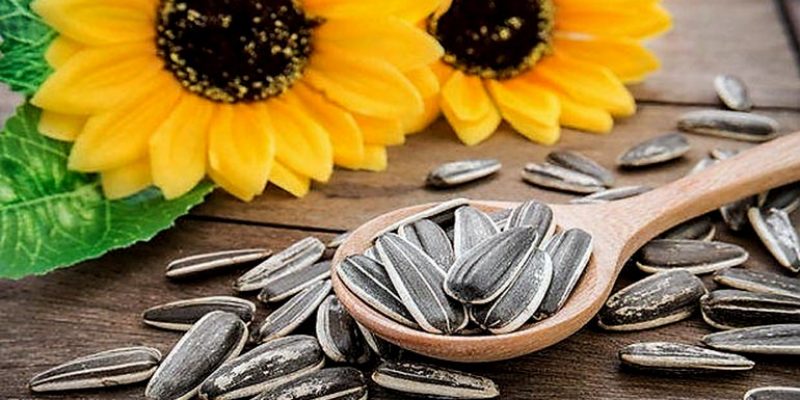 Top 5 Health Benefits of Sunflower Seeds!