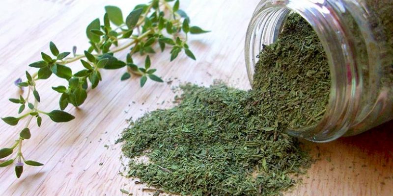 Top 5 Health Benefits of Thyme!