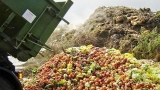 Top 5 Ways to Reduce Food Waste!