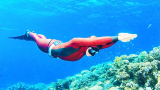 What is The No.1 Rule in Freediving?