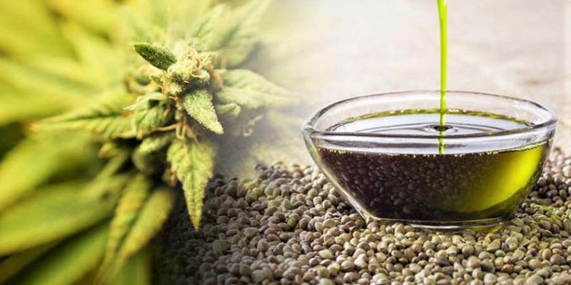 What’s The Fuss About CBD Oil?