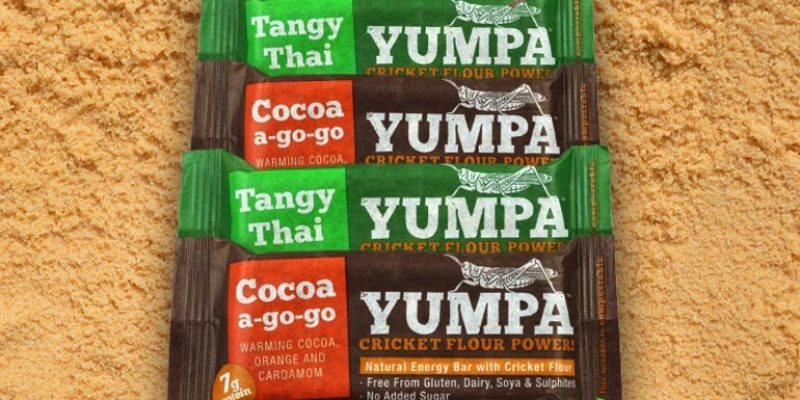 Yumpa Energy Bars with Cricket Flour