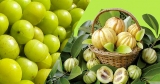 Is Your Garcinia Cambogia product genuine?