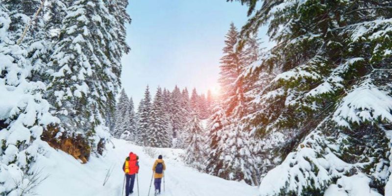 Stay Active This Winter: Tips for Hiking in Cold Weather